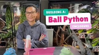 Thumbnail: How To Build A: Ball Python Enclosure | EVERYTHING YOU NEED