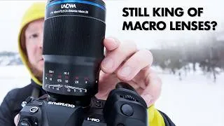 Thumbnail: Laowa 90mm 2x Ultra Macro Lens for MFT – Review and M.Zuiko 90mm comparison