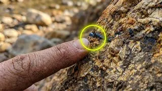 Thumbnail: These Black Stones Mean Gold