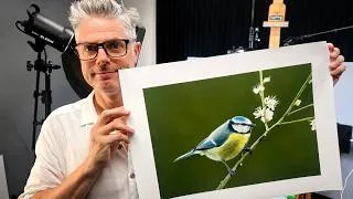 Thumbnail: 8 Minutes that will Change how you Paint Birds