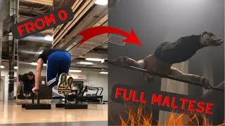 Thumbnail: INCREDIBLE PLANCHE PROGRESSION - FROM 0 TO FULL MALTESE!! - 3 YEARS