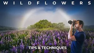 Thumbnail: Chasing Fogbows: Epic Wildflower Landscape Photography