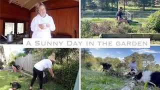 Thumbnail: A SUNNY DAY IN THE GARDEN  VLOG (weeding, building garden beds & tidying up)