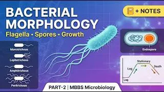Thumbnail: Bacterial Morphology Part-2 | Flagella, Spores & Bacterial Growth | MBBS Revision