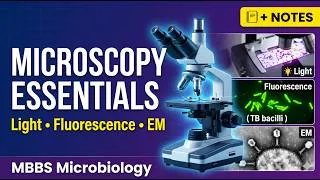 Thumbnail: Microscopy Essentials Made Simple | Light, Phase Contrast, Fluorescence & Electron Microscopy | MBBS