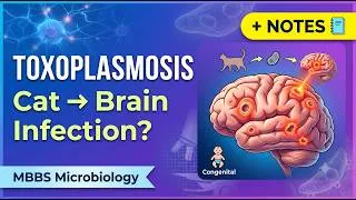 Thumbnail: Toxoplasmosis Made Simple | Life Cycle, Pathogenesis, Diagnosis & Treatment | MBBS Revision