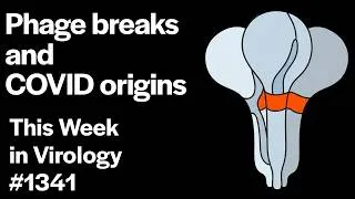 Thumbnail: TWiV 1341: Phage breaks and COVID origins
