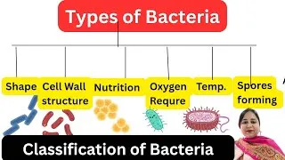 Thumbnail: Microbiology Lecture: Types of Bacteria | Shape, Nutrition, Oxygen & Staining