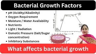 Thumbnail: Bacterial Growth | Factors Affecting Growth of Bacteria | Microbiology Basics