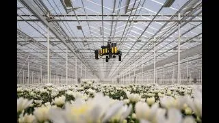 Thumbnail: Bee-Nav: Efficient robot navigation inspired by honeybee learning flights
