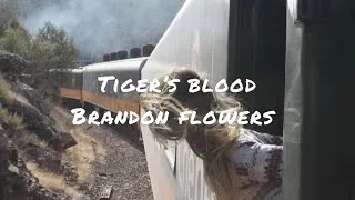Thumbnail: Tiger’s blood by Brandon Flowers (lyrics)