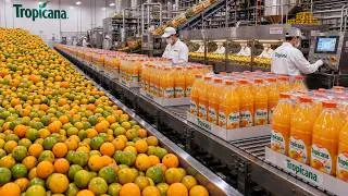 Thumbnail: How 100% Natural Orange Juice Is Made From Millions Of Fresh Oranges
