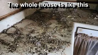 Thumbnail: Free Cleaning for a Family With NO CHOICE