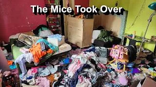 Thumbnail: Cleaning a house that was so infested with mice, it was uninhabitable