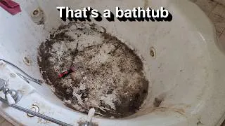 Thumbnail: This house was so bad, we had to clean it with scrapers