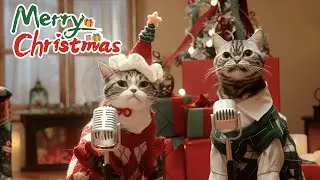 Thumbnail: Mariah Carey-All I Want for Christmas Is You (cover by two cats）@BongoCat @MariahCarey