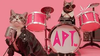 Thumbnail: ROSÉ & Bruno Mars - APT. (cover by M&S)