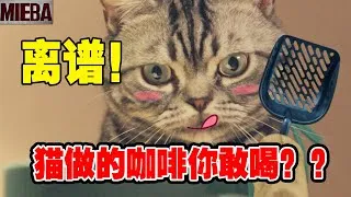 Thumbnail: 猫咪竟然会做咖啡？星喵克打工仔亲爪做的猫屎咖啡！
