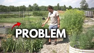 Thumbnail: Grocery Stores are Bad For Gardens - Hot Takes From The Garden 