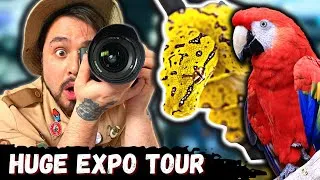 Thumbnail: Pacnwrs Reptile Expo Tour April 2023