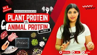 Thumbnail: Plant Vs Animal Protein for Muscle Gain | What athletes Need to know ! Explained Simply