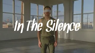 Thumbnail: In The Silence - Michael Dameski