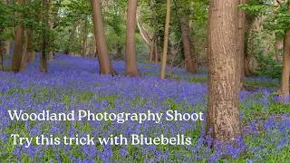 Thumbnail: Capturing Bluebell Woodlands | Photography Techniques.