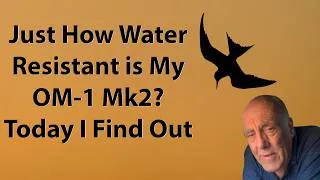 Thumbnail: How to Photograph the Fast Flying Little Tern in Flight with the OM-1 Mk2 and the 150-400mm Lens