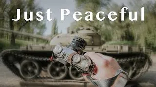 Thumbnail: A quiet morning of photography with the Fujifilm X-T5