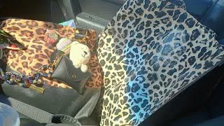 Thumbnail:  Salvation Army Thrifting Adventure Haul