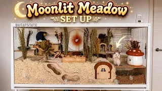 Thumbnail: Setting Up a MOONLIT MEADOW Mansion for My Syrian Hamster! *CUTE REACTION*