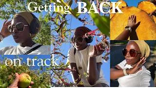 Thumbnail: Getting Back on Track| Finding Milly diaries Eps:1