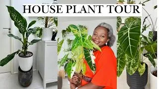 Thumbnail: Tour  of my plant collection showing off my TROPICAL PLANTS 🪴.  #indoorplants  #houseplants
