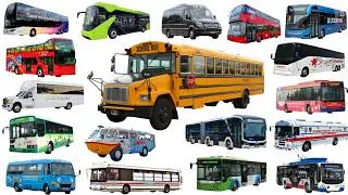 Thumbnail: School Bus, City Bus, Coach, Police Bus | Bus name collection - Learning Vehicle Types of Bus