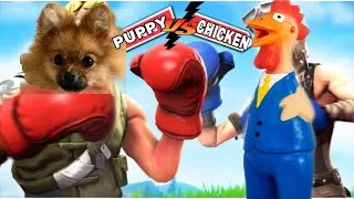 Thumbnail: POMERANIAN VS SCREAMING CHICKEN