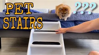 Thumbnail: Dog Uses Pet Stairs For The First Time
