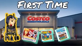 Thumbnail: POMERANIAN FIRST TIME AT COSTCO