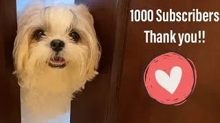 Thumbnail: Thanking all the 1000 subscribers for the love.