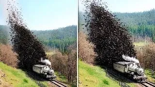 Thumbnail: Unbelievable Train Moments Caught on Camera