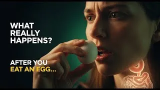 Thumbnail: The #1 Reason You Should RECONSIDER Eating Eggs Every Day.