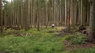 Thumbnail: Spending a day in nature to clear the mind | Lüneburg Heath | no talking + calming music