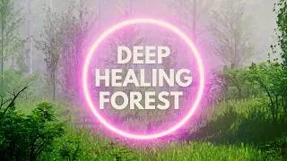 Thumbnail: 1 Hour Ambient Healing Music (No Voice) | Relaxing Breathing Cycle (for Meditation, Sleep, Calm)