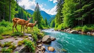 Thumbnail: Calming Music for the Nervous System 🌿Relaxing Music & Nature Sounds for Sleeping, Stress Relief #10