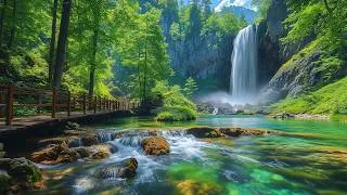 Thumbnail: Beautiful Relaxing Music to Stop Overthinking 🌿 Nature Sounds to Reduce Anxiety & Deep Sleep