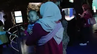 Thumbnail: Sea world with my family
