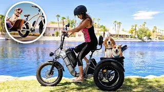 Thumbnail: You're in for a Ride: Husky Folding E-Trike Unboxing & Review