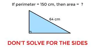 Thumbnail: Right Triangle Area Puzzle