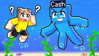 Thumbnail: ONE COLOR CAMOUFLAGE Hide and Seek in Minecraft!