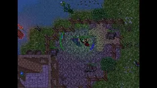 Thumbnail: Within the tides, Coastal Concerns