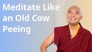 Thumbnail: How to Build a Consistent Meditation Practice — Ask Mingyur Rinpoche